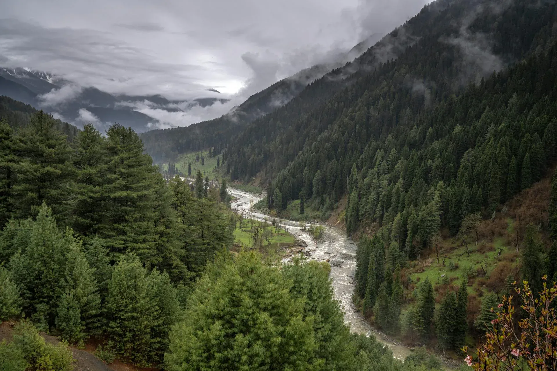 Pahalgam valley landscape