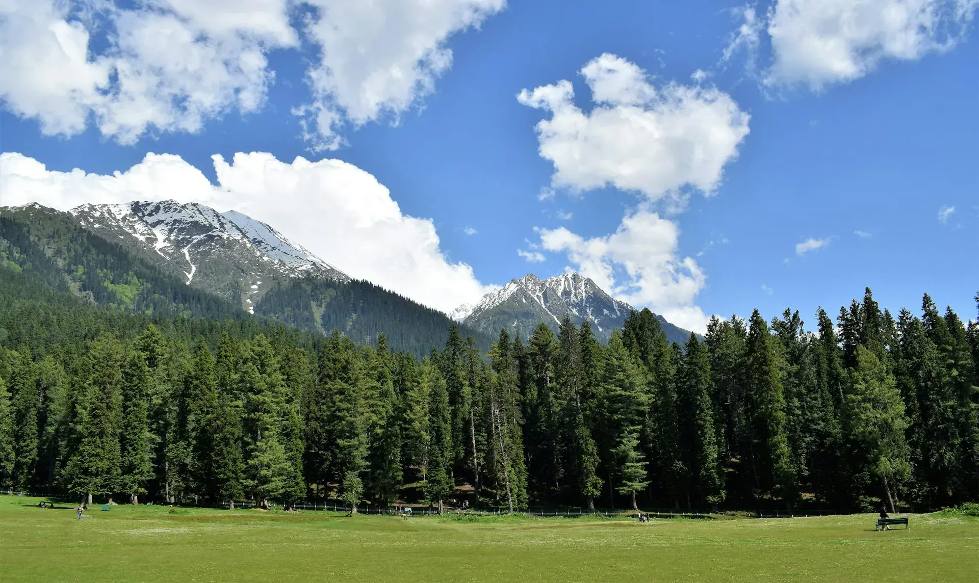 Pahalgam meadow view